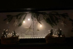 FEnster-1