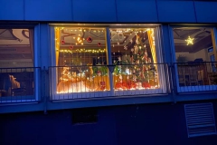 Fenster-20