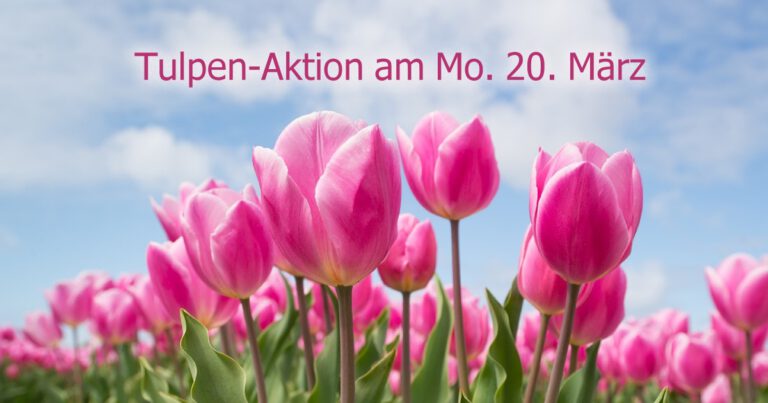 Tulpenaktion zum Frühlingsbeginn